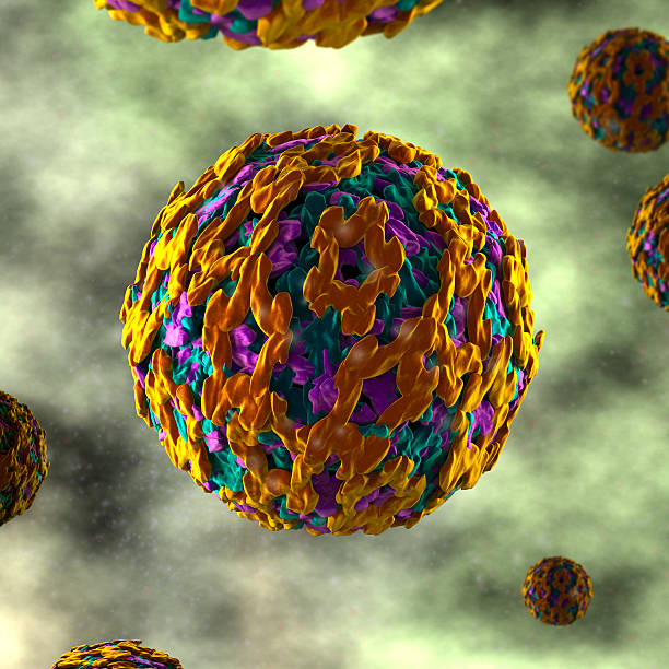istock Yellow Fever Virus - in fluid 510395763