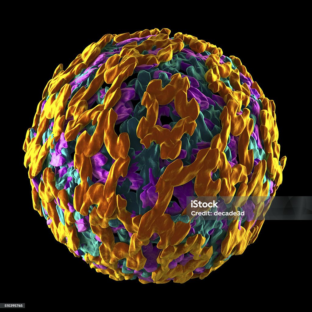 Yellow Fever Virus Isolated On Black Stock Photo - Download Image Now
