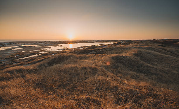 ビーチで夕焼け - south africa coastline sea wave ストックフォトと画像