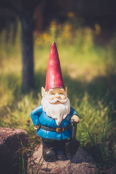 garden gnome auf felsen mit baum - zwerg stock-fotos und bilder