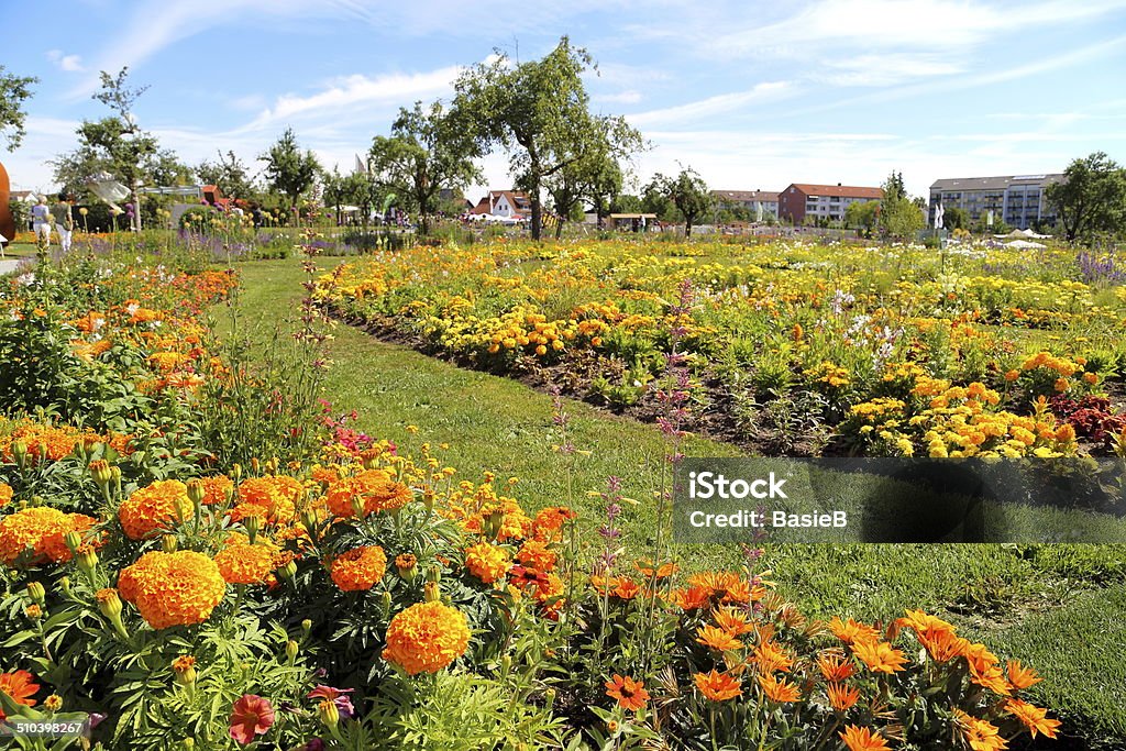 Flower garden im Sommer - Lizenzfrei Blumenausstellung Stock-Foto