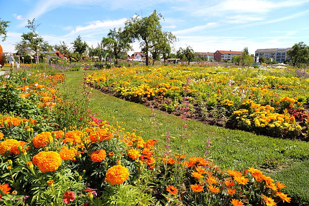 Large flower garden in summer  