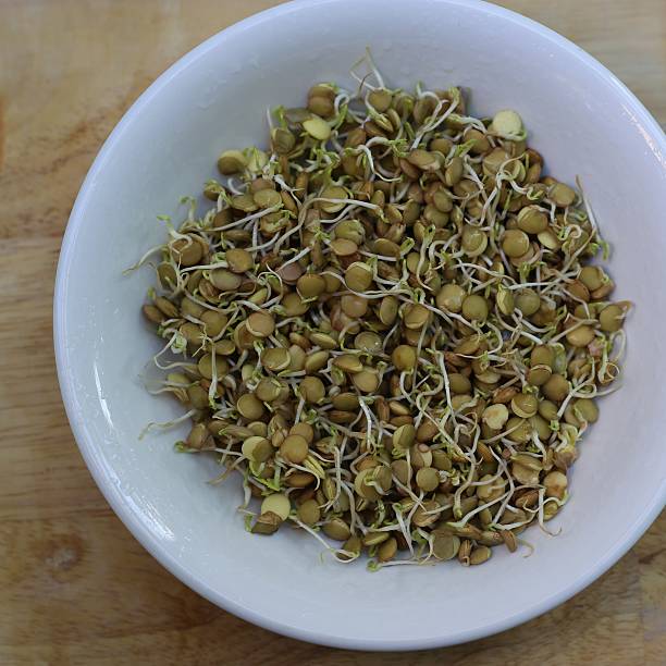 hecho lentejas brotes hogar - brussels sprout raw brown close up fotografías e imágenes de stock