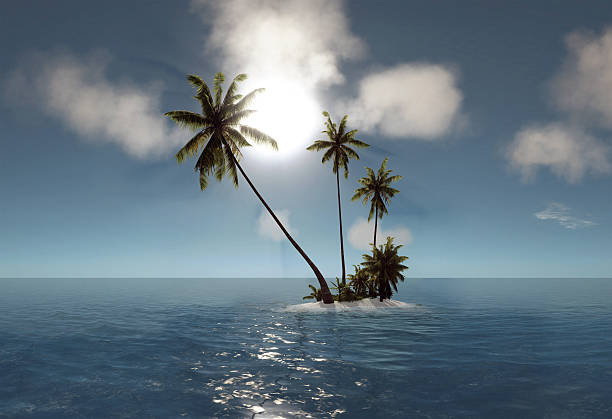 istock sea, tropical island, palm trees, sun 510401092