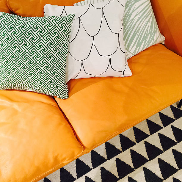 2 cushion on sofa2 cushion on sofa in living room