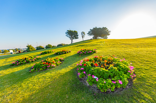 Ahmed AdlyAspire Park in Doha city, the capital of Qatar