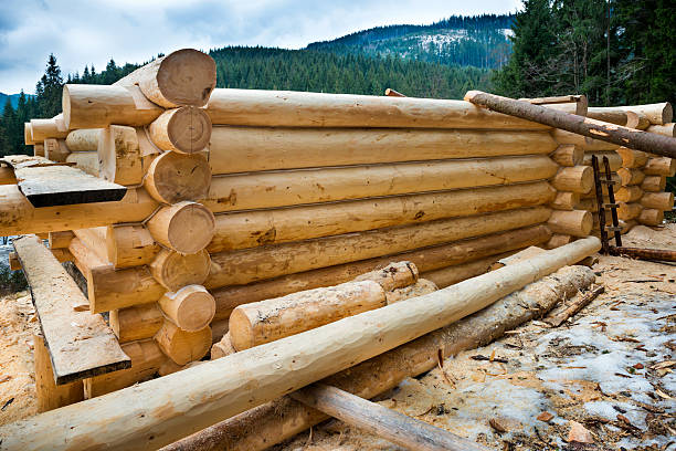 국가 압살했다 하우스 - cabin log log cabin winter 뉴스 사진 이미지