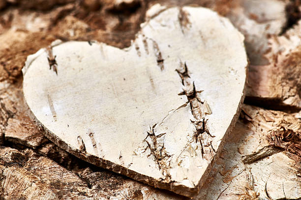 istock Birch heart on a birch background 510406930
