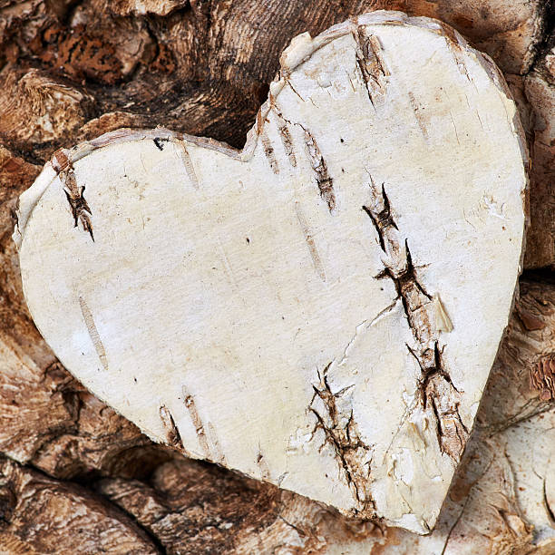 istock Birch heart on a birch background 510407270