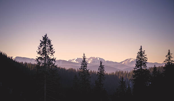 istock Vintage mountain view 510409286