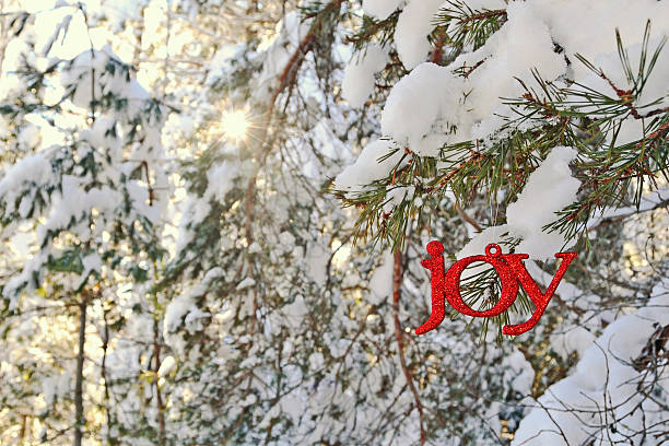 Joy Ornament in a Sunny Winter Forest stock photo