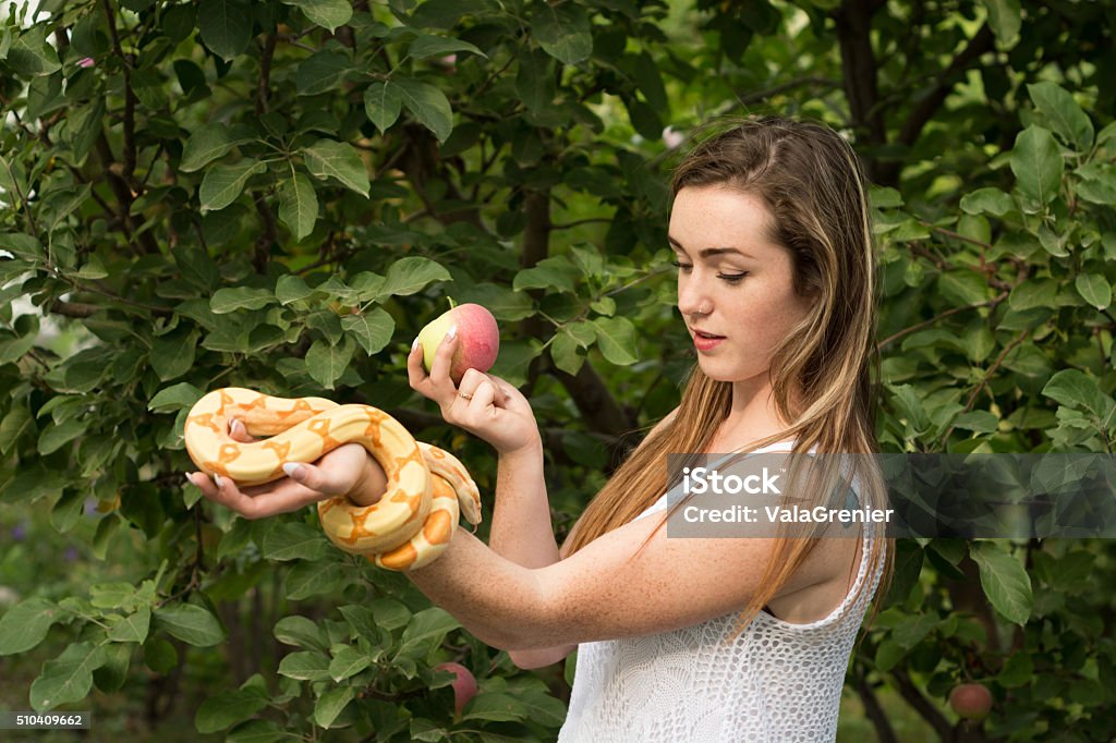 Chi Ha Mangiato La Mela Tra Adamo Ed Eva Adamo Ed Eva Concetto Vigilia E Serpente Con Una Mela - Fotografie