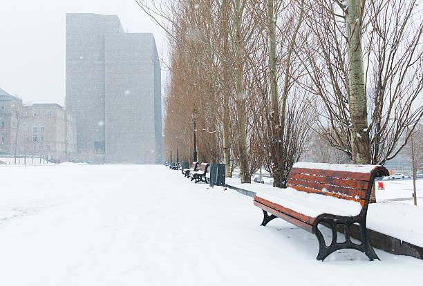istock Urban Montreal Park Scene in Winter Architecture Backgrounds with Copyspace 510410762