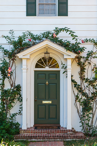 front green door with ivy around the door frame, inviting look