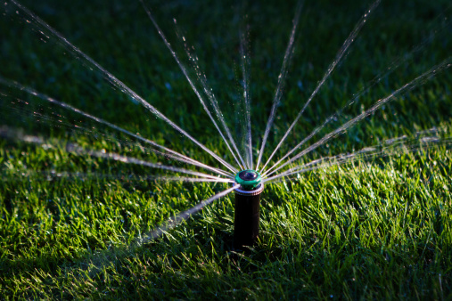 Sprinkler watering grass in sunset