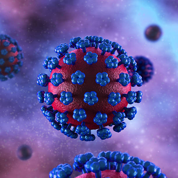 istock Lassa Fever Cell - in fluid 510414125