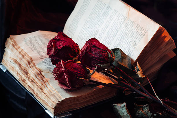 istock Still life with old book and roses 510414356