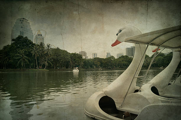 Swan Pedal boat in the pond of the park, vintage style