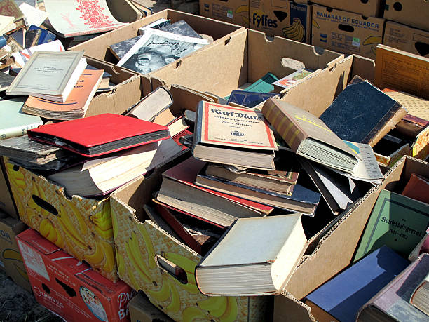 Havelberg, Germany - September 3, 2014: Cardboard boxes for sale are filled up with books. Its part of the flea market takes place at Havelberg (Saxony-Anhalt, Germany) every year at first September week. 