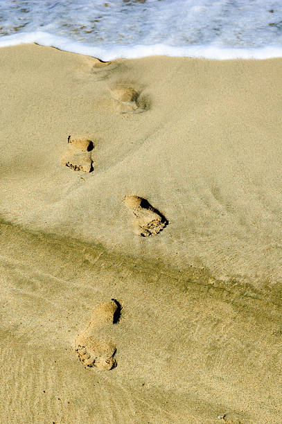 istock human footprints on the coastline sand 510440111