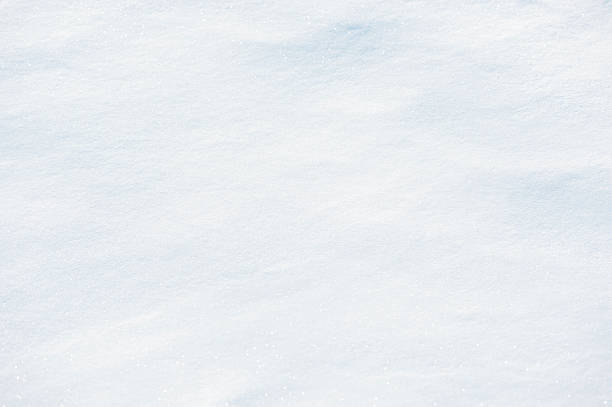 istock Winter Background of Fresh Powder Snow Full Frame 510440201