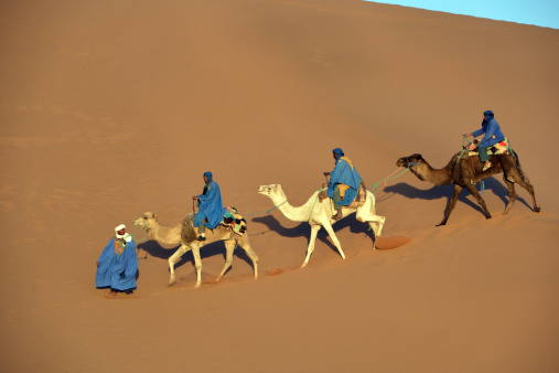 Camel Caravan in the Sahara Desert