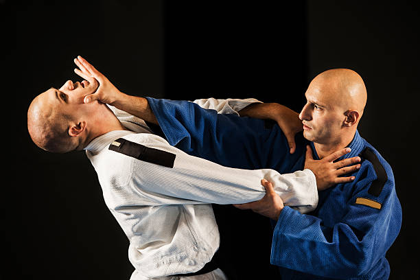 istock Aikido self-defense. 510444235