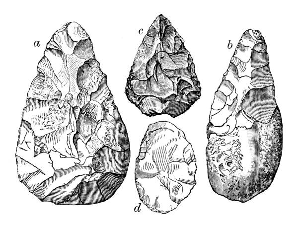 Antique illustration of Stone Age flint tools Antique illustration of Stone Age flint tools flint stone stock illustrations