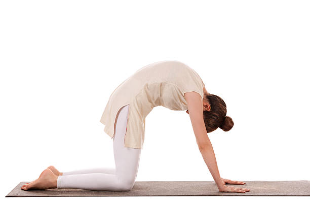 Yoga practice Mid adult woman doing yoga. Cat pose. Isolated on white background cat pose yoga stock pictures, royalty-free photos & images