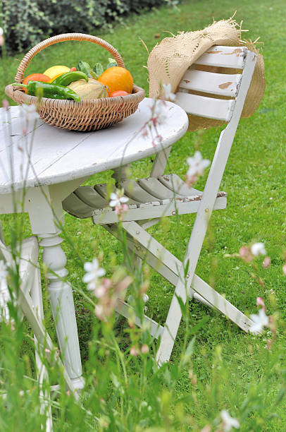 istock basket of vegetables in garden 510460623