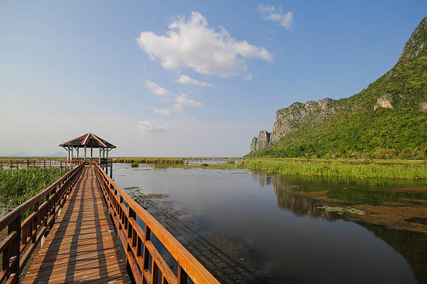 istock Mountain view from Wooden Bridge at Khao sam roi yod 510461314