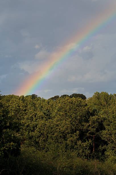 istock Rainbow over English Countryside 510461899