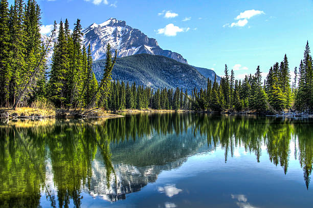 den ruhigen fluss bow fluss - banff national park stock-fotos und bilder