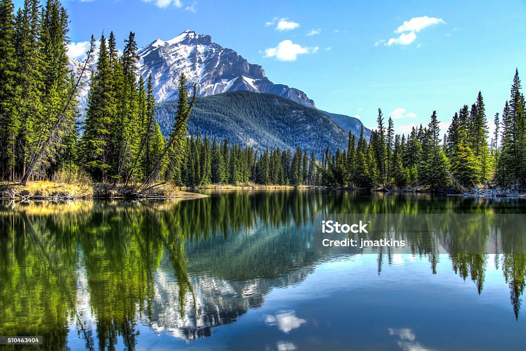The calm Bow River Cascade Mountain reflecting in the Bow River in Banff National Park, Alberta, Canada. Canada Stock Photo