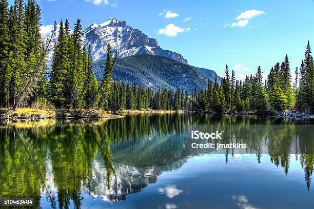 The Calm Bow River Stock Photo - Download Image Now - Canada, Banff National Park, Landscape - Scenery