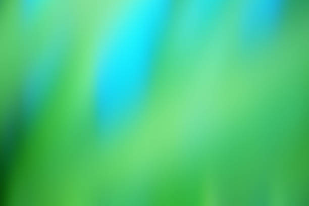 istock Defocused Green Grass and Trees Blurred Abstract Background 510463830