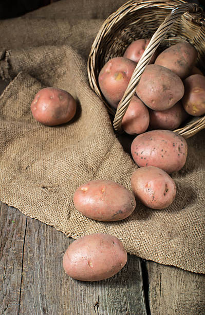 istock Raw potatoes on wooden background 510463861