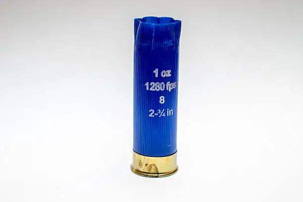 Photo of Shotgun Shell