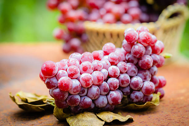 Red grape fruits