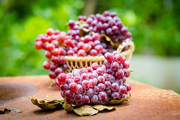 Red grape fruits
