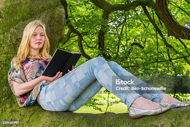 Girl Lying On Branch Of Tree Reading Book Stock Photo - Download Image Now - Beech Tree, Teenage Girls, Adolescence