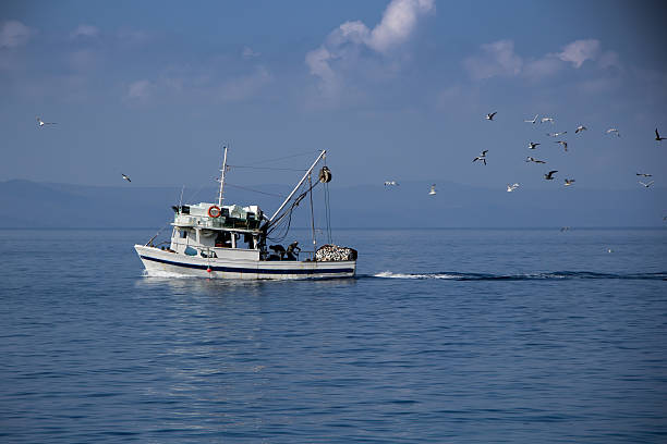 istock Fishing boat and seagulls 510466027
