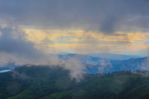 istock Morning Mist at Tropical Rain forest 510466159