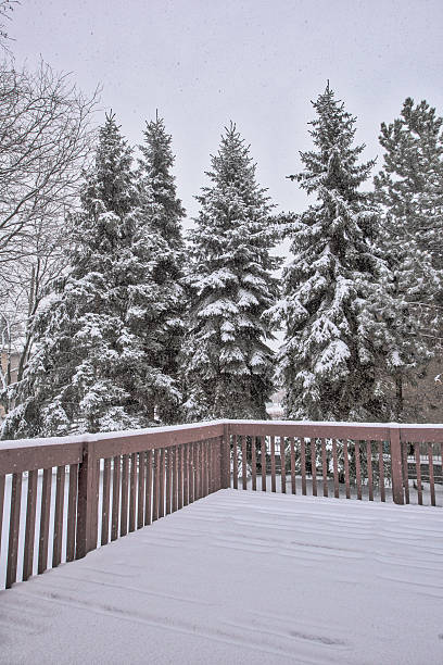 istock Day of snow in Toronto 510466612