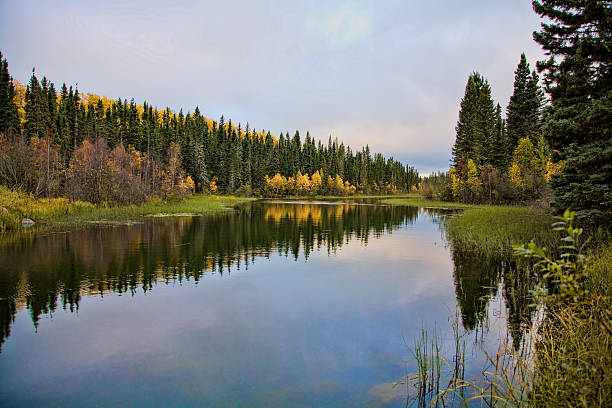 waskesui river und reflections - prince albert national park stock-fotos und bilder