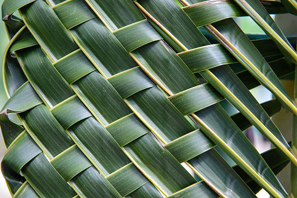 istock Pattern weave of coconut leaves 510468102