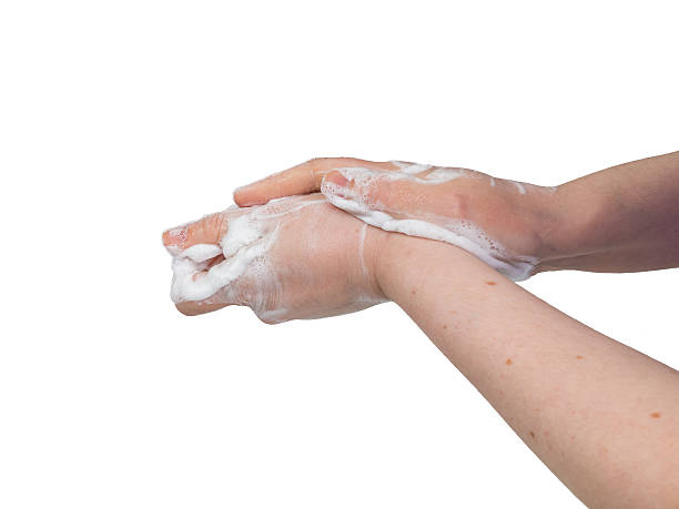 istock Washing female hands with soap. Isolated on white. 510473850