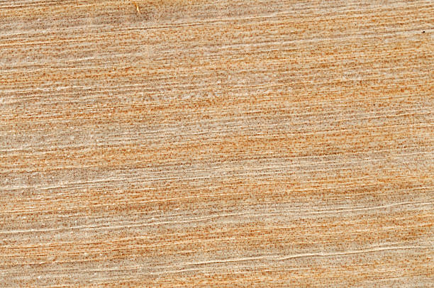 istock Texture of papyrus 510473852