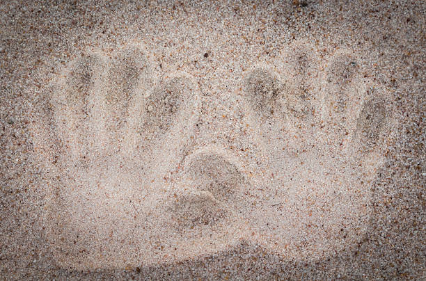 istock Handprint in the sand 510475230