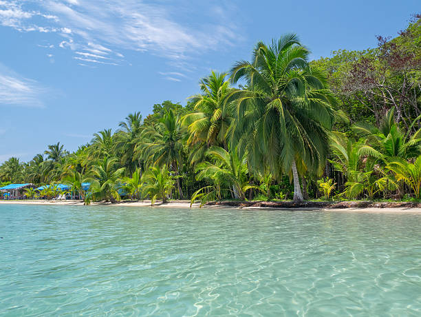 istock Beach in bocas del toro 510475786